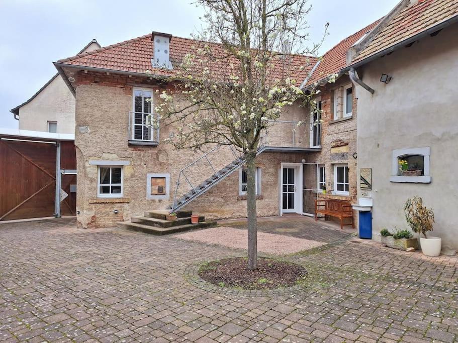Ferienwohnung Tante Trude Bad Kreuznach Eksteriør bilde